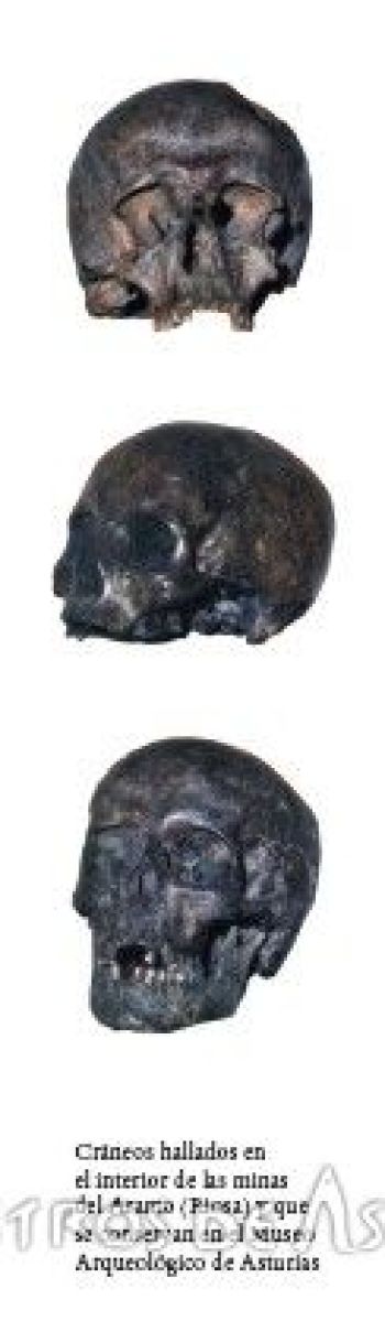 Cráneos de la mina de El Aramo