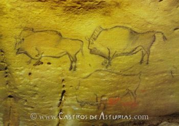 Bisontes en la cueva de La Covaciella
