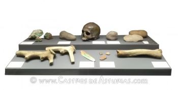 Cráneo, herramientas y cerámica campaniforme de las minas prehistóricas de El Aramo